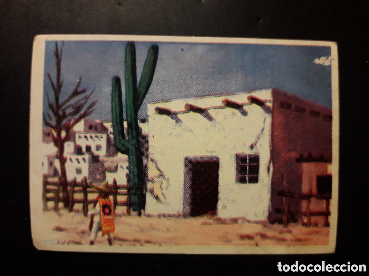 Colecionismo Cromos antigos: VIVIENDA MEXICANA, CACTUS, CONOCIMIENTOS UNIVERSALES N&deg; 238 BIMBO 1963 SIN PEGAR PEDIDO M&Iacute;NIMO 3&euro;