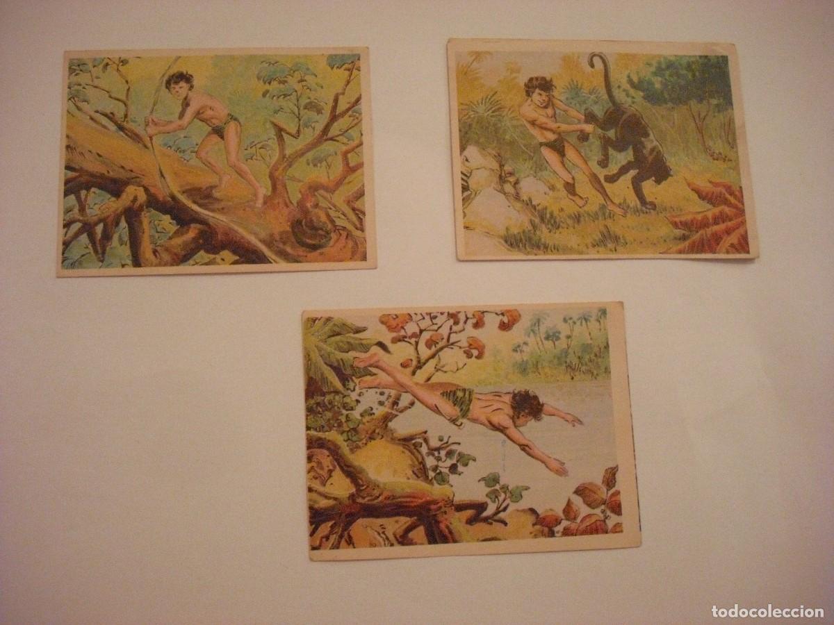 Sammeln alte Sammelbilder: LAS AVENTURAS DE JORGE , EL PEQUE&Ntilde;O TARZAN LOTE DE 3 CROMOS 28. 77 Y 85