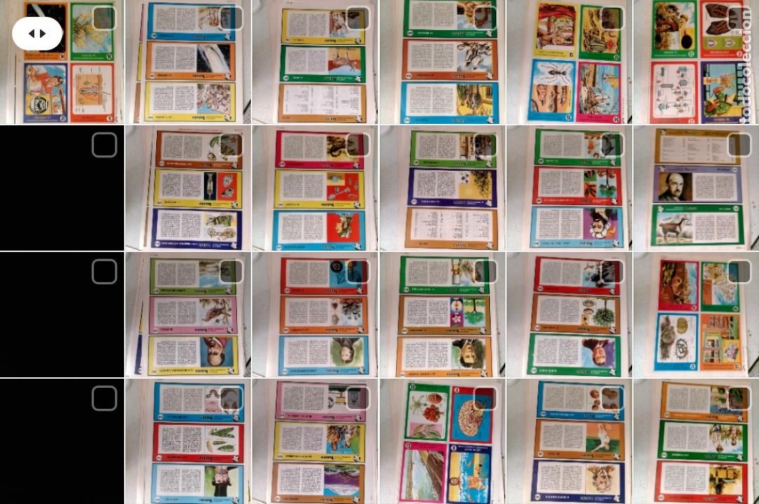68 fichas coleccionables recortables para carpeta de informacion escolar del libro gordo de petete