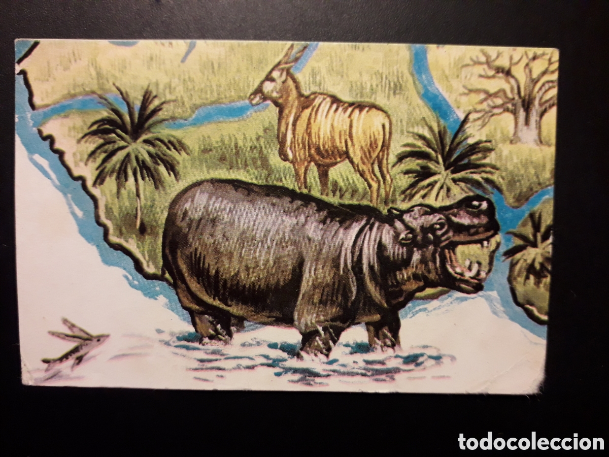 Colecionismo Cromos antigos: HIPOP&Oacute;TAMO NUESTRO MUNDO. ATLAS ILUSTRADO N&deg; 102 BIMBO BRUGUERA 1967 ESQUINA MORDIDA PEDIDO M&Iacute;NIM 3&euro;