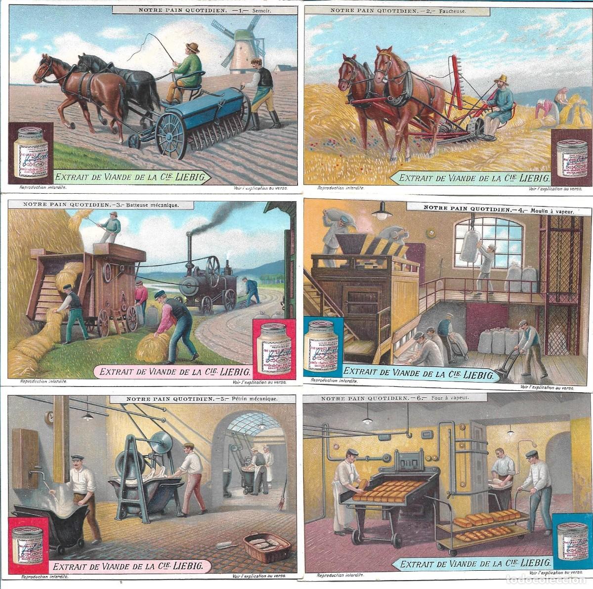 Collectable Antique Stickers: LIEBIG SANGUINETTI NUMERO 1198