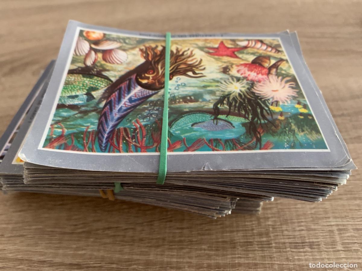 Coleccionismo cromos antiguos: Lote de 186 cromos de Vida y Color 2 .Maxi - Foto 1