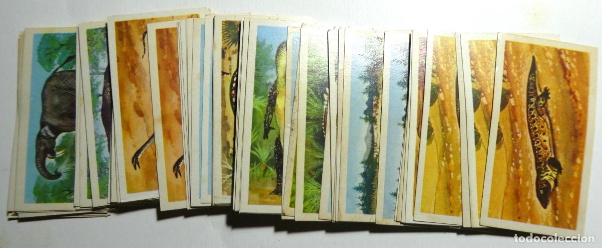 Coleccionismo Cromos antiguos: Lote de 68 cromos de T&eacute; Ingles The Sea colecci&oacute;n Prehistoric Animals