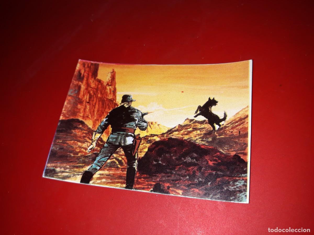 Coleccionismo cromos antiguos: RIN TIN TIN. Marco cromo # 118 - Foto 1