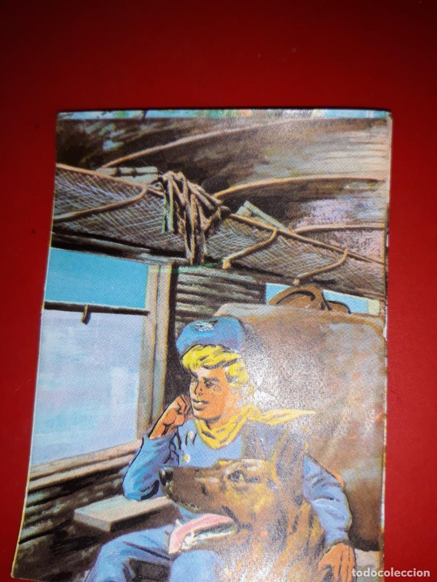 Coleccionismo cromos antiguos: RIN TIN TIN. Marco cromo # 156 - Foto 1