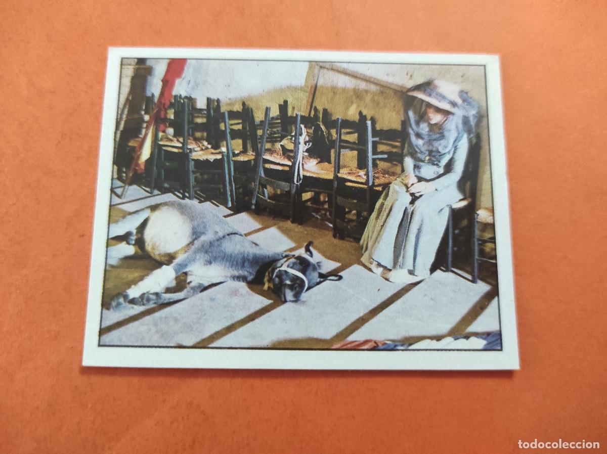 Coleccionismo Cromos antiguos: CROMO LAS AVENTURAS DE PINOCHO SIN PEGAR N&ordm; 316 A&Ntilde;O 1972 ALBUM PINOCHO VULCANO FIGURINE PANINI