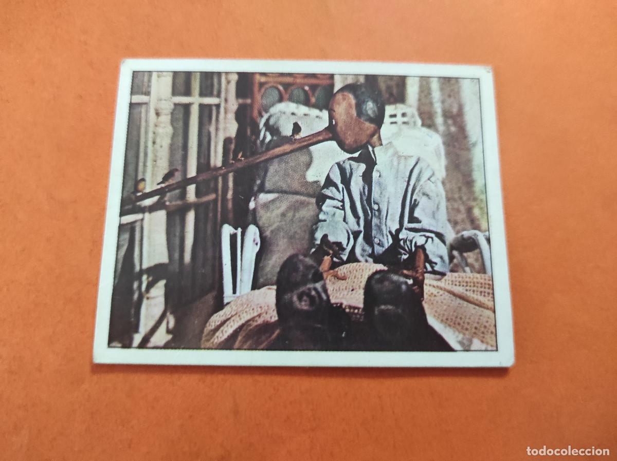 Coleccionismo Cromos antiguos: CROMO LAS AVENTURAS DE PINOCHO SIN PEGAR N&ordm; 175 A&Ntilde;O 1972 ALBUM PINOCHO VULCANO FIGURINE PANINI