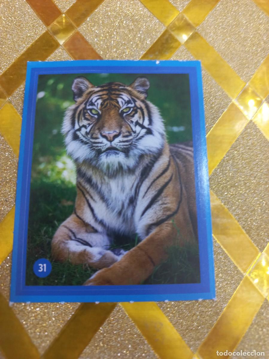 Coleccionismo Cromos antiguos: CROMO NUMERO 31 DE CUIDANDO EL PLANETA CON LOS PITUFOS ALCAMPO !