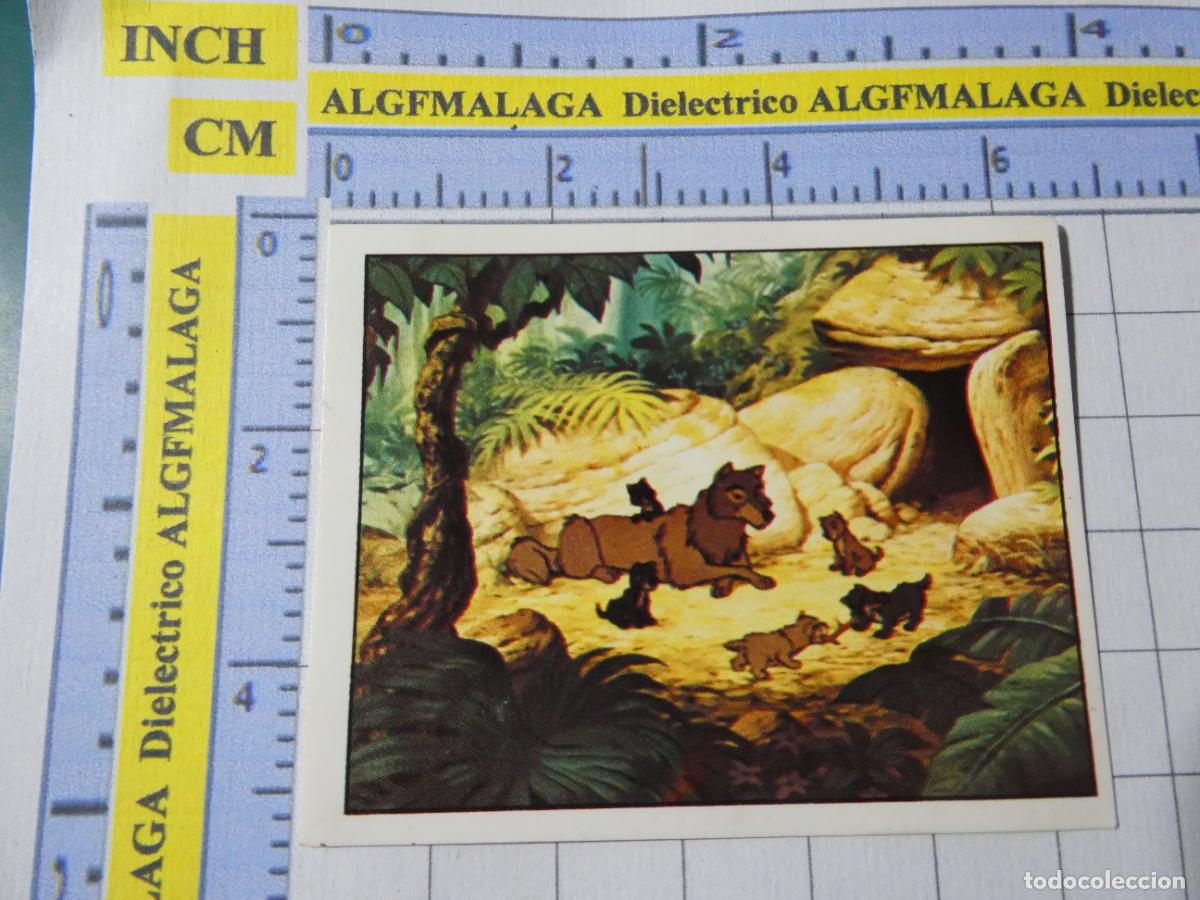 Coleccionismo cromos antiguos: CROMO EDICIONES PANINI EL LIBRO DE LA SELVA WALT DISNEY. N&ordm; 5 - Foto 1