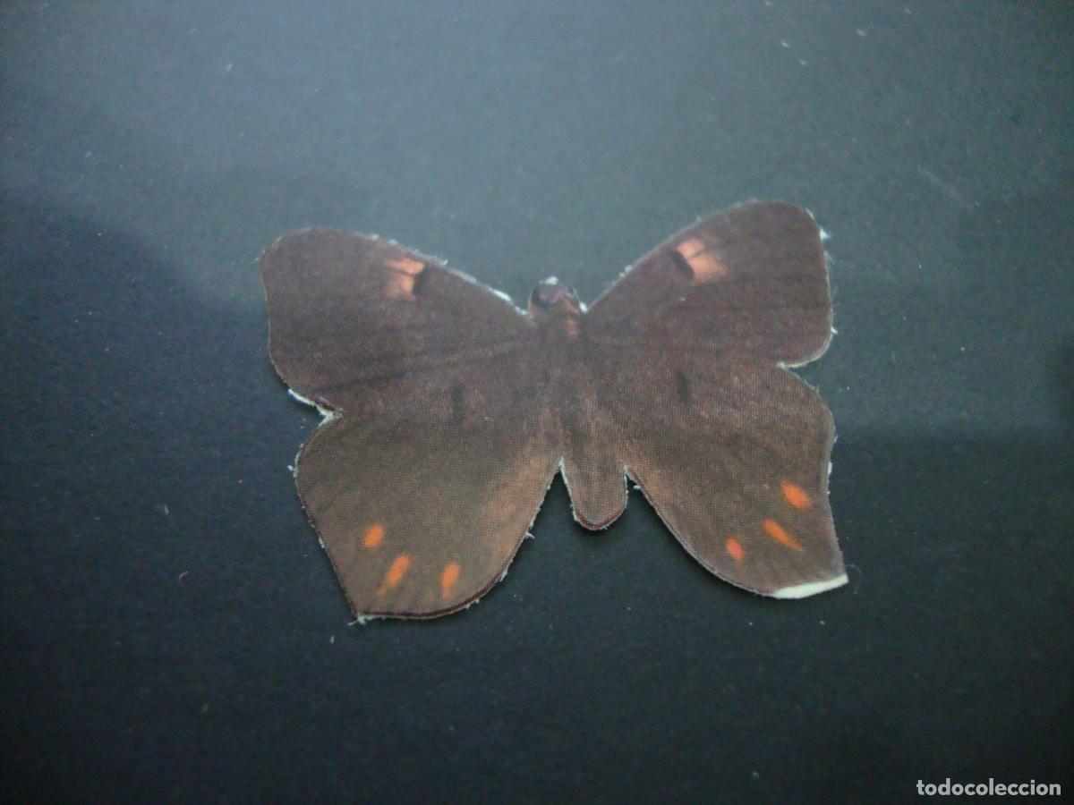 Coleccionismo Cromos antiguos: CROMO TROQIELADO GRISINES PANRICO MARIPOSAS NUEVO SIN PEGAR N&ordm; 23