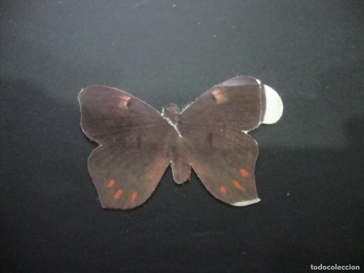 Coleccionismo Cromos antiguos: CROMO TROQIELADO GRISINES PANRICO MARIPOSAS NUEVO SIN PEGAR N&ordm; 23
