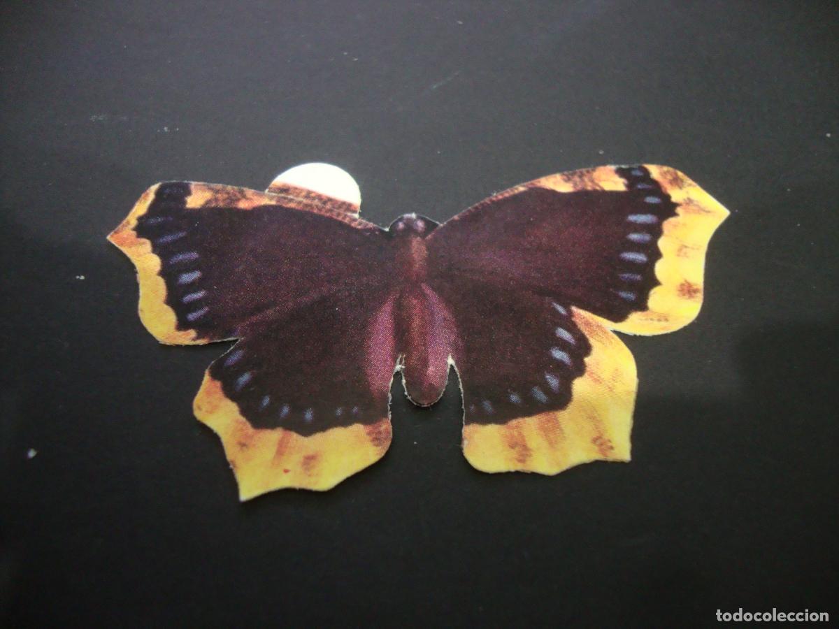Coleccionismo Cromos antiguos: CROMO TROQIELADO GRISINES PANRICO MARIPOSAS NUEVO SIN PEGAR N&ordm; 30