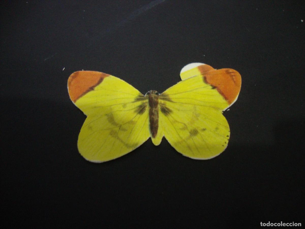 Coleccionismo Cromos antiguos: CROMO TROQIELADO GRISINES PANRICO MARIPOSAS NUEVO SIN PEGAR N&ordm; 47