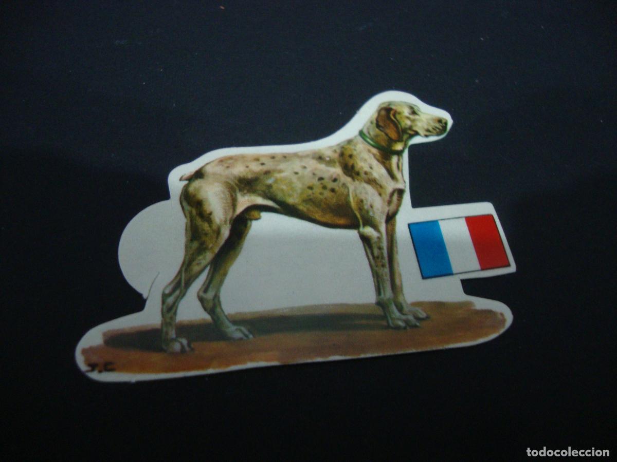 Coleccionismo Cromos antiguos: CROMO TROQUELADO PANRICO PERROS NUEVO SIN PEGAR N&ordm; 67