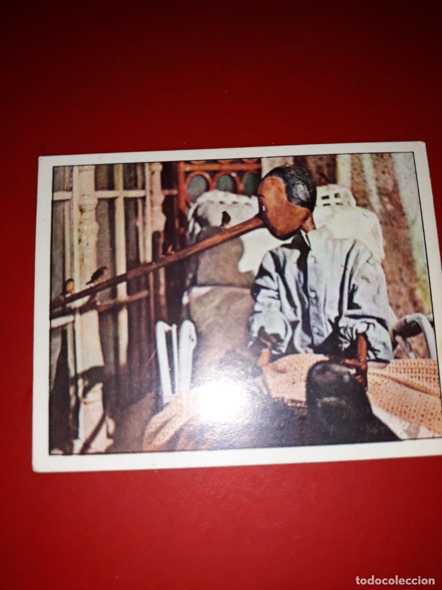 Coleccionismo cromos antiguos: PINOCHO Vulcano # 175 - Foto 1