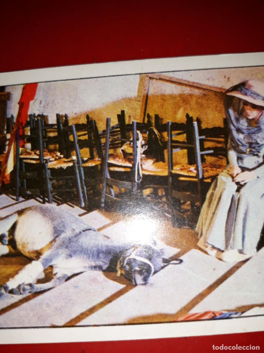 Coleccionismo cromos antiguos: PINOCHO Vulcano # 316 - Foto 1