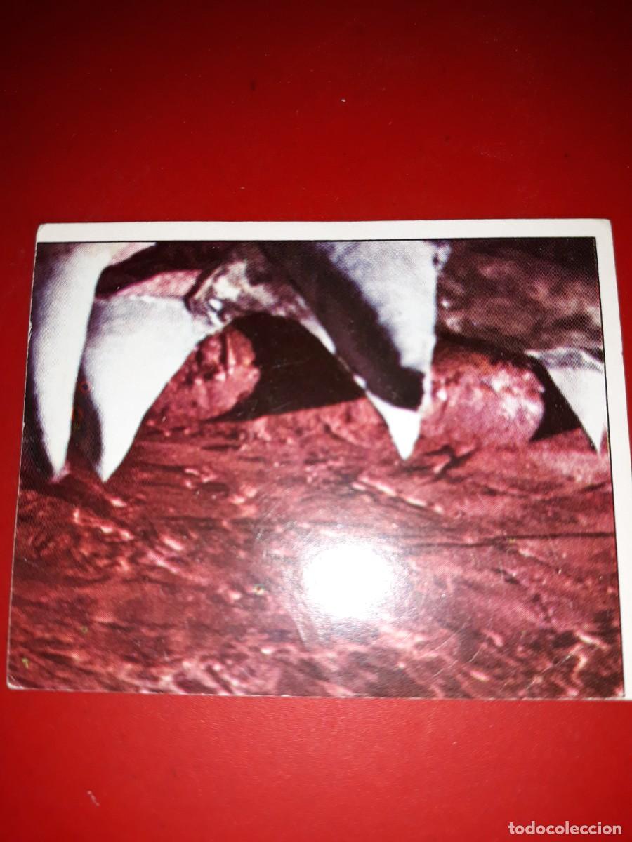 Coleccionismo cromos antiguos: PINOCHO Vulcano # 351 - Foto 1