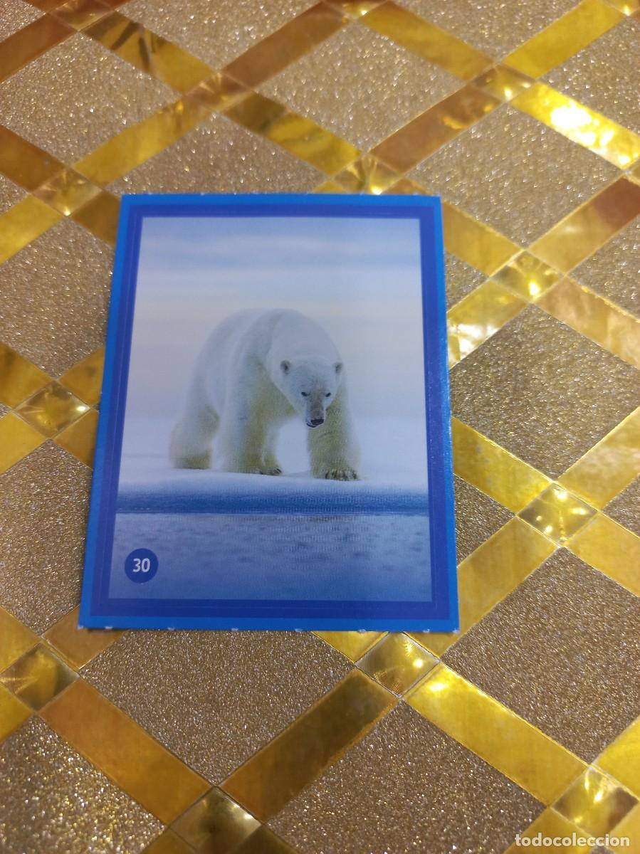 Coleccionismo Cromos antiguos: CROMO NUMERO 30 DE CUIDANDO EL PLANETA CON LOS PITUFOS ALCAMPO !