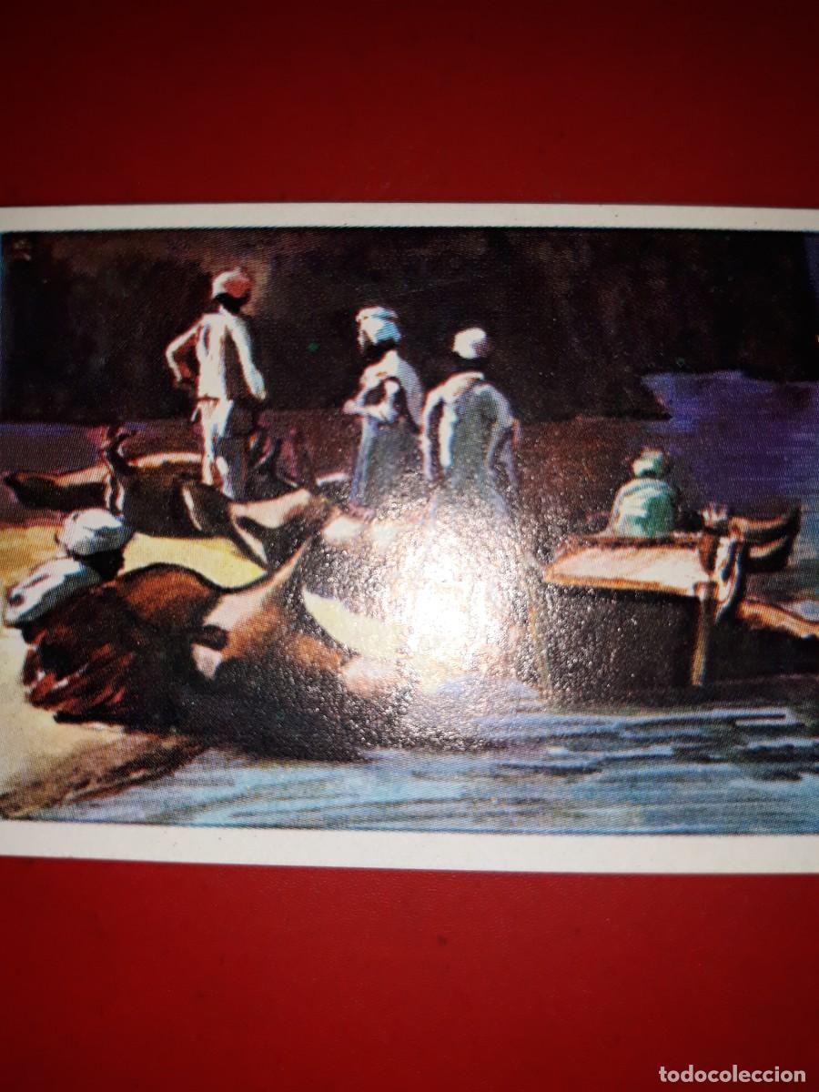Coleccionismo cromos antiguos: RAZAS HUMANAS cromo # 49 - Foto 1