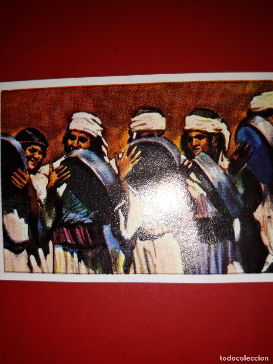 Coleccionismo cromos antiguos: RAZAS HUMANAS cromo # 142 - Foto 1