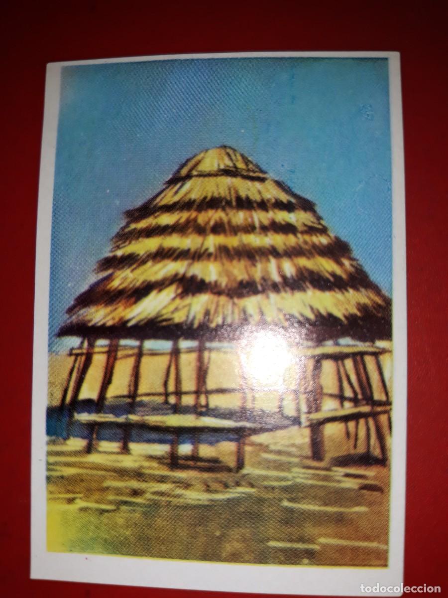 Coleccionismo cromos antiguos: RAZAS HUMANAS cromo # 175 - Foto 1