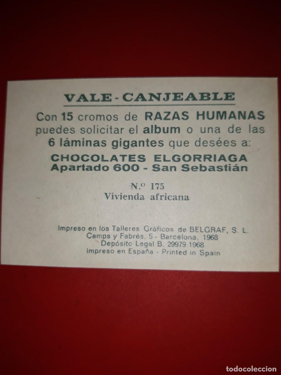 Coleccionismo cromos antiguos: RAZAS HUMANAS cromo # 175 - Foto 2