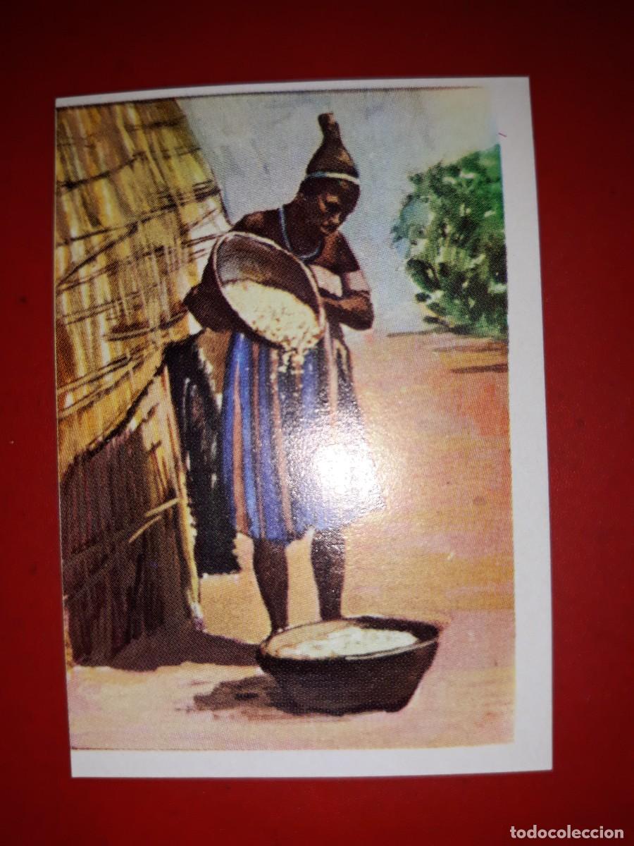 Coleccionismo cromos antiguos: RAZAS HUMANAS cromo # 169 - Foto 1