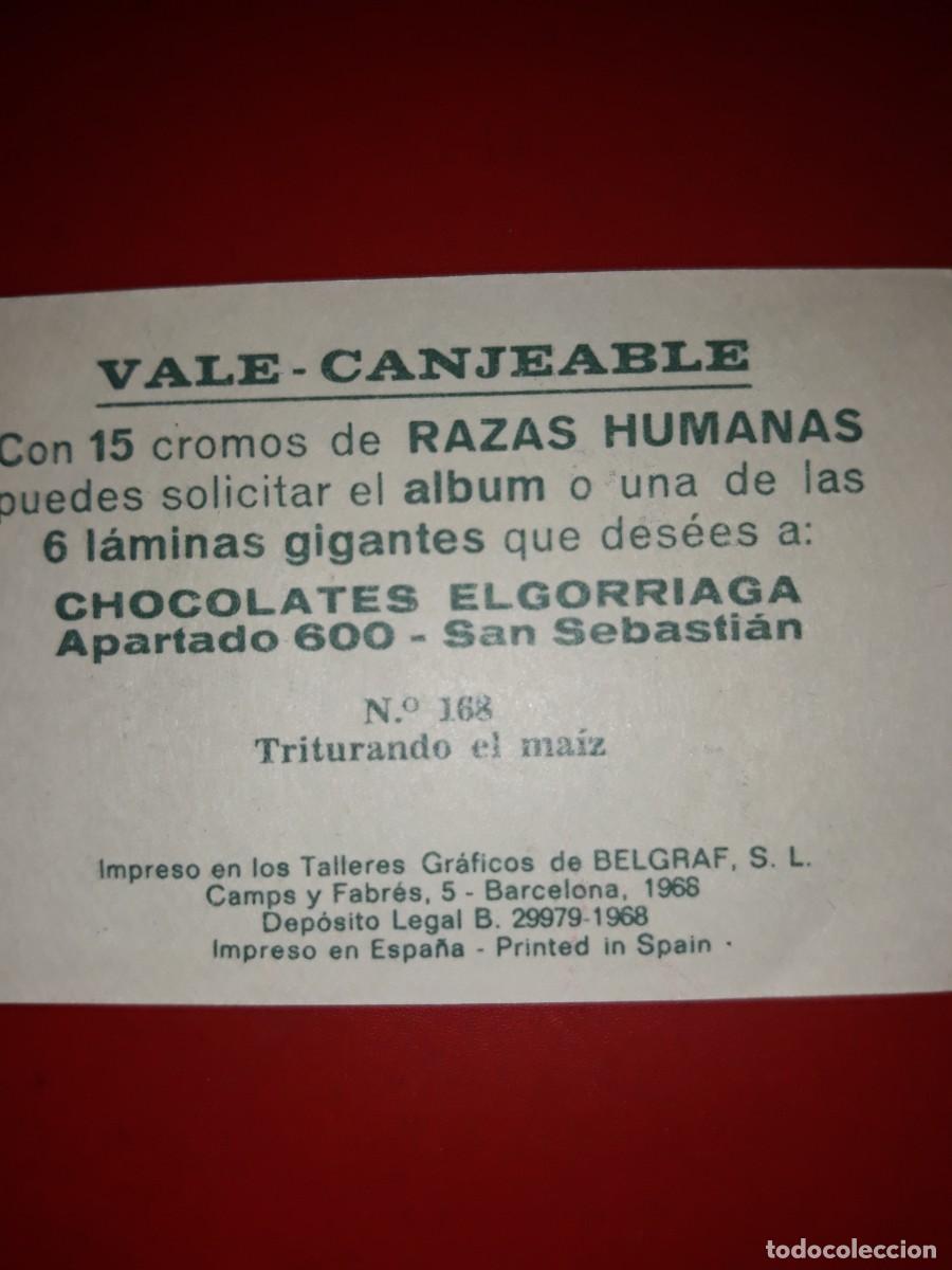Coleccionismo cromos antiguos: RAZAS HUMANAS cromo # 168 - Foto 2