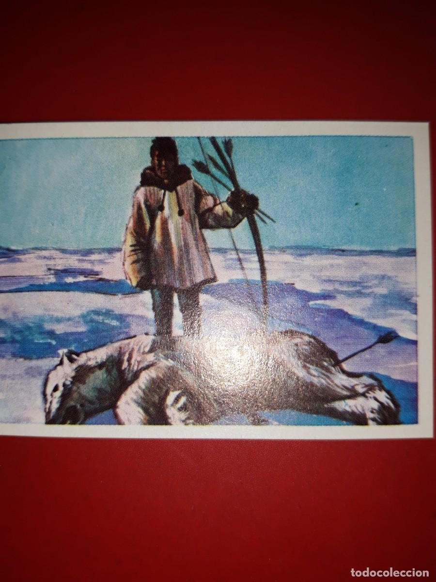 Coleccionismo cromos antiguos: RAZAS HUMANAS cromo # 183 - Foto 1