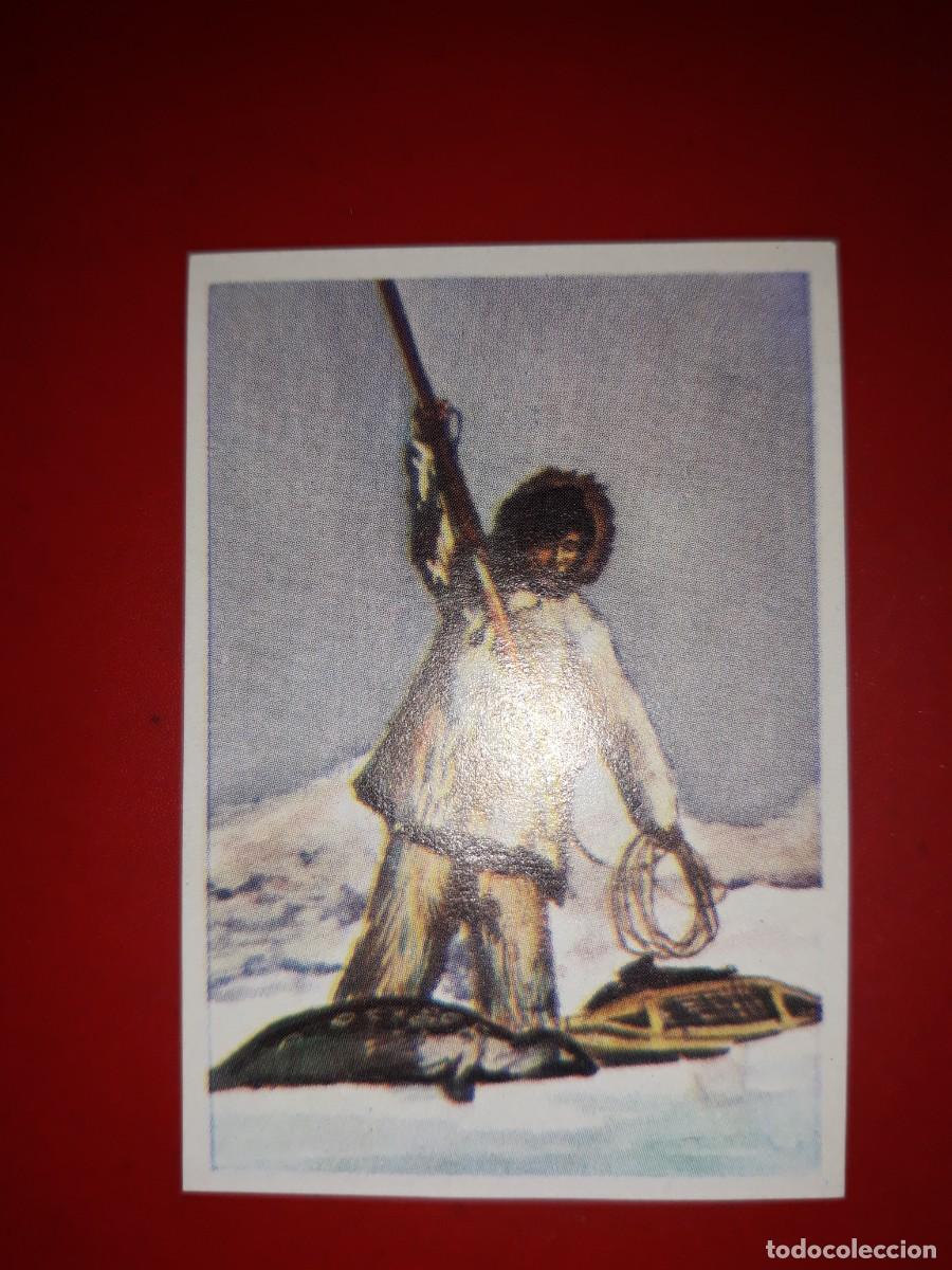 Coleccionismo cromos antiguos: RAZAS HUMANAS cromo # 184 - Foto 1