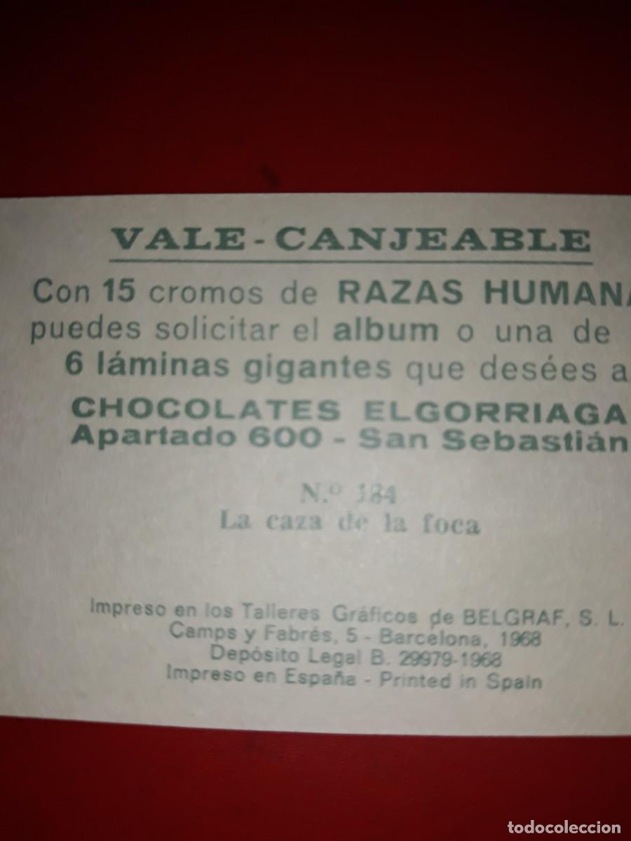 Coleccionismo cromos antiguos: RAZAS HUMANAS cromo # 184 - Foto 2