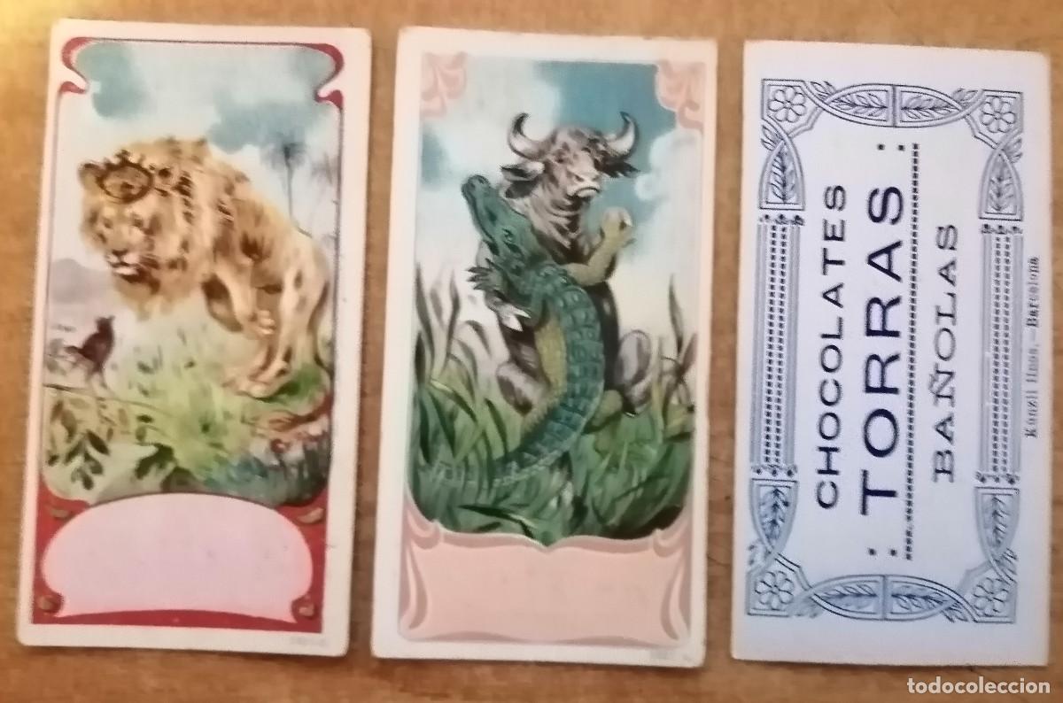Collectable Antique Stickers: cromos coleccion de arte - fotografias del natural - chocolates torras . muy antiguos - 2 cromos