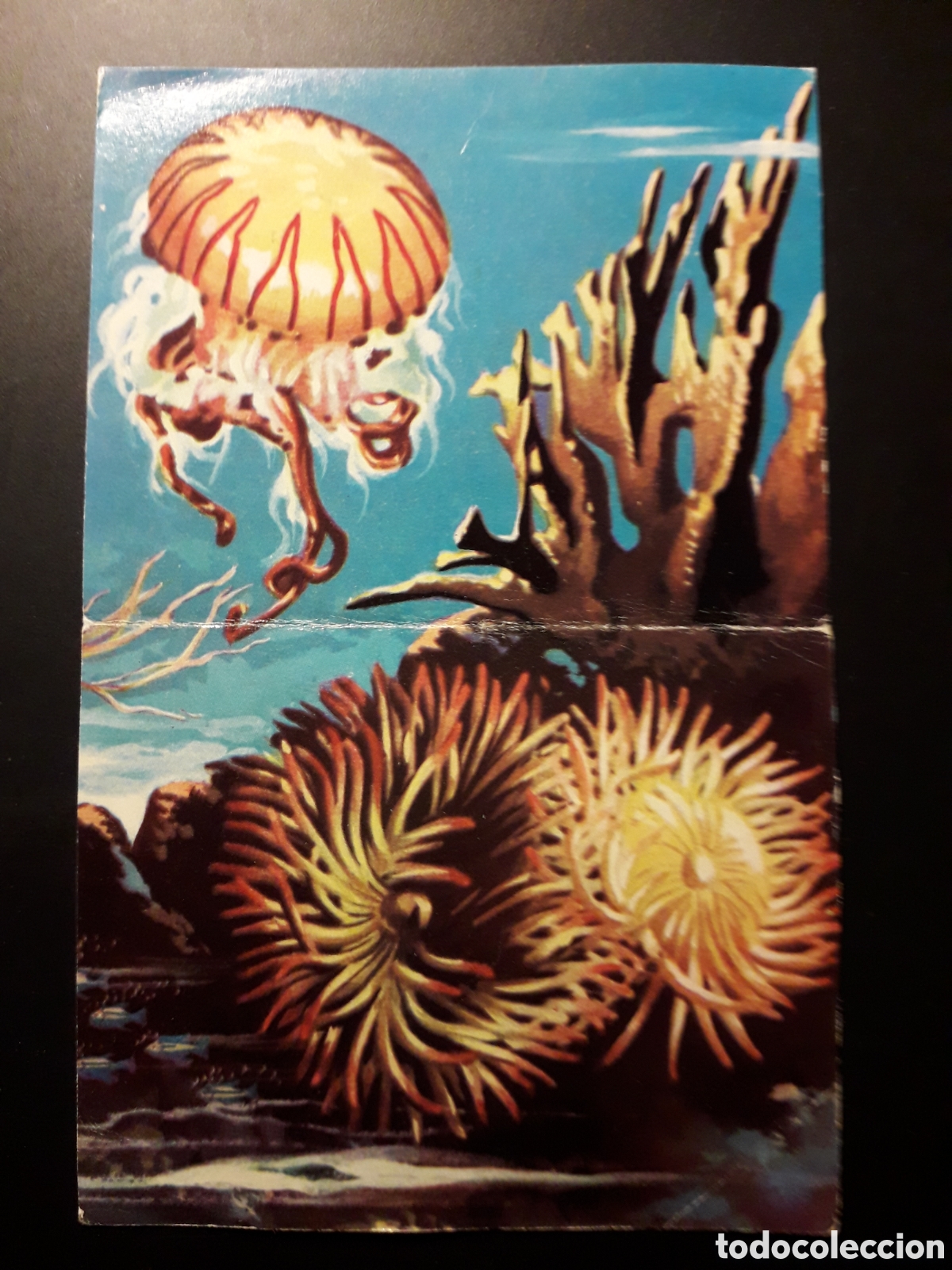 Collectionnisme Cartes &agrave; collectionner anciennes: CELENT&Eacute;REOS, EL MUNDO SUBMARINO N&deg; 7 Y 8 PRODUCCIONES EDITORIALES 1973 SIN PEGAR PEDIDO M&Iacute;NIMO 3&euro;