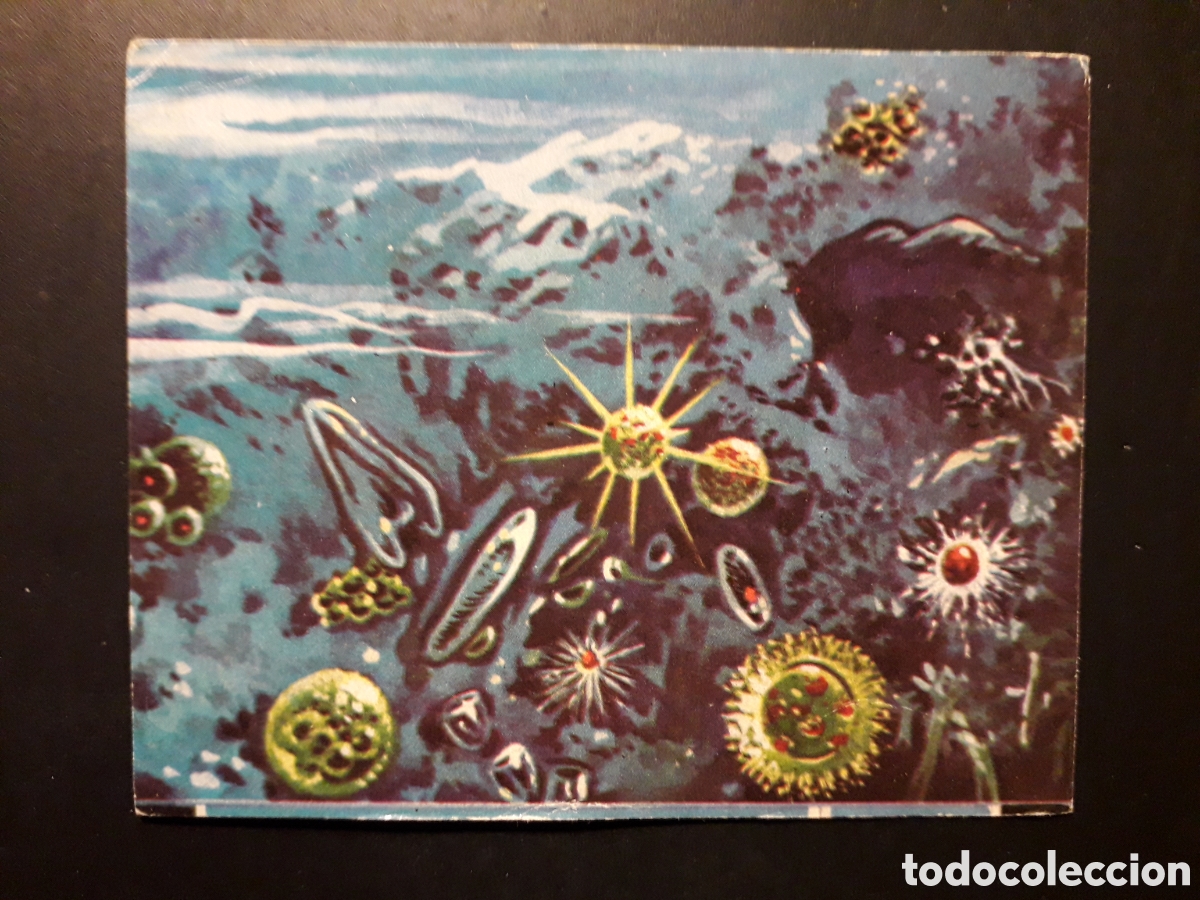 Collectionnisme Cartes &agrave; collectionner anciennes: RADIOLARIOS, EL MUNDO SUBMARINO N&deg; 12 PRODUCCIONES EDITORIALES 1973 SIN PEGAR PEDIDO M&Iacute;NIMO 3&euro;.