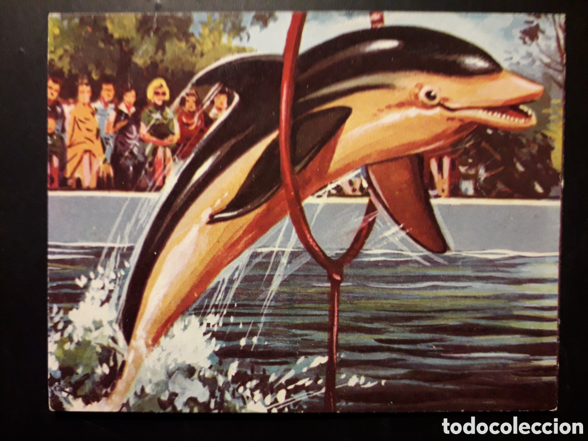 Collectionnisme Cartes &agrave; collectionner anciennes: DELFIN, EL MUNDO SUBMARINO N&deg; 50 PRODUCCIONES EDITORIALES 1973 SIN PEGAR PEDIDO M&Iacute;NIMO 3&euro;