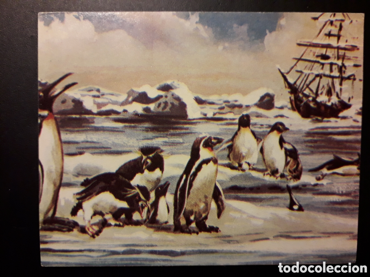 Collectionnisme Cartes &agrave; collectionner anciennes: PING&Uuml;INO, EL MUNDO SUBMARINO N&deg; 86 PRODUCCIONES EDITORIALES 1973 SIN PEGAR, PEDIDO M&Iacute;NIMO 3&euro;