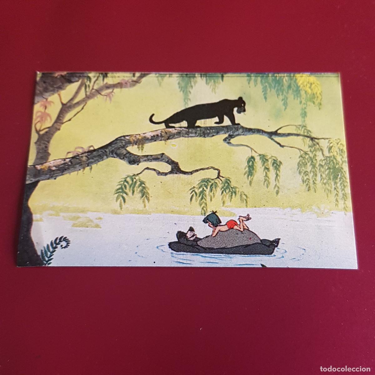 Coleccionismo Cromos antiguos: FHER - EL LIBRO DE LA SELVA - 1968 - 68 - 55 - NUNCA PEGADO