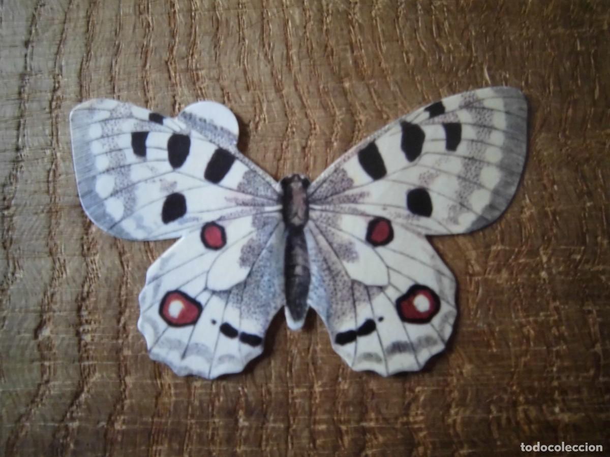 Coleccionismo Cromos antiguos: CROMO N&ordm; 12 MARIPOSA ARGINIA TABACO GRISINES PANRICO
