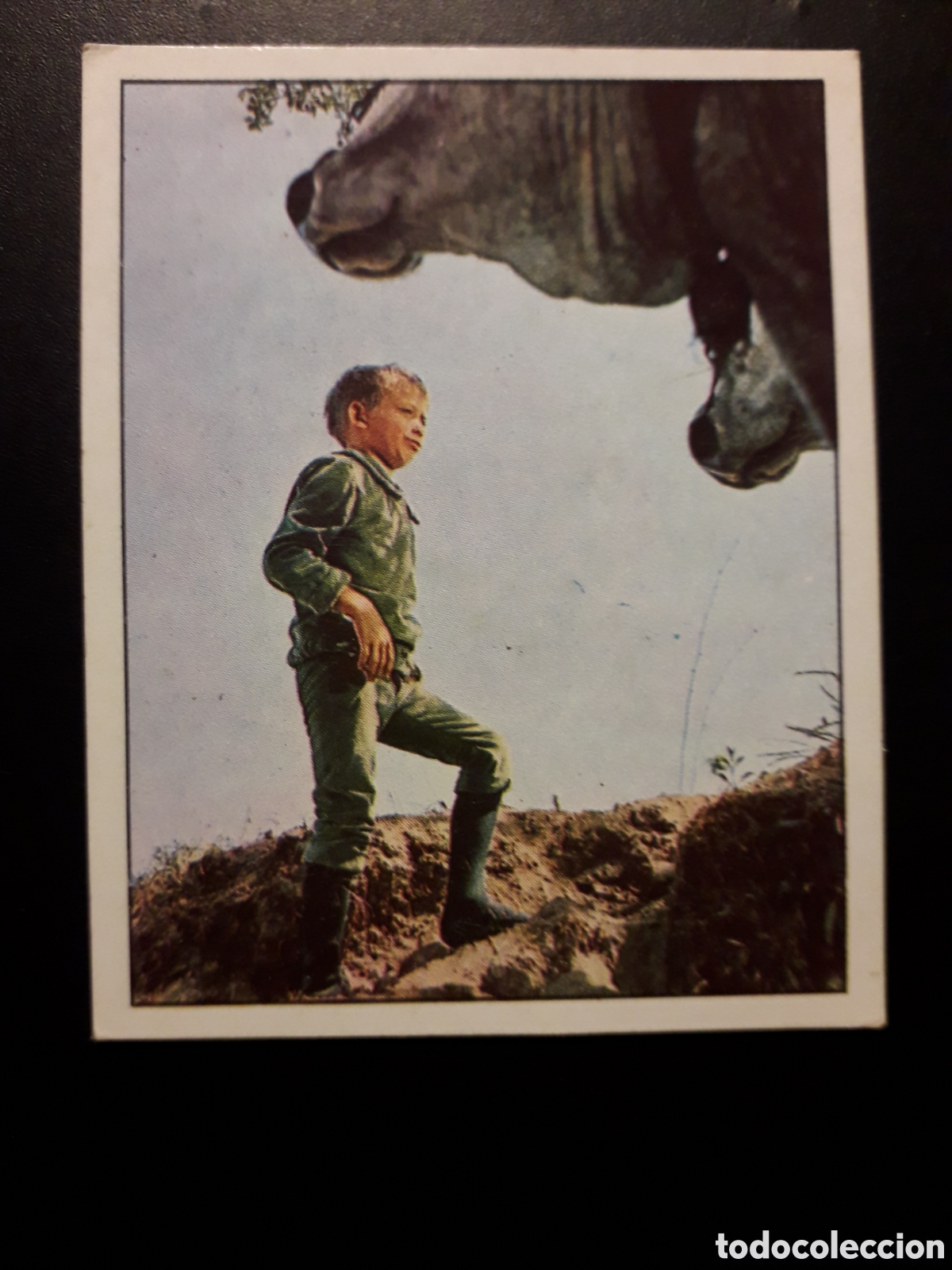 Coleccionismo Cromos antiguos: LAS AVENTURAS DE PINOCHO N&deg; 197 VULCANO PANINI 1972 SIN PEGAR FOTOS. PEDIDO M&Iacute;NIMO 3&euro;