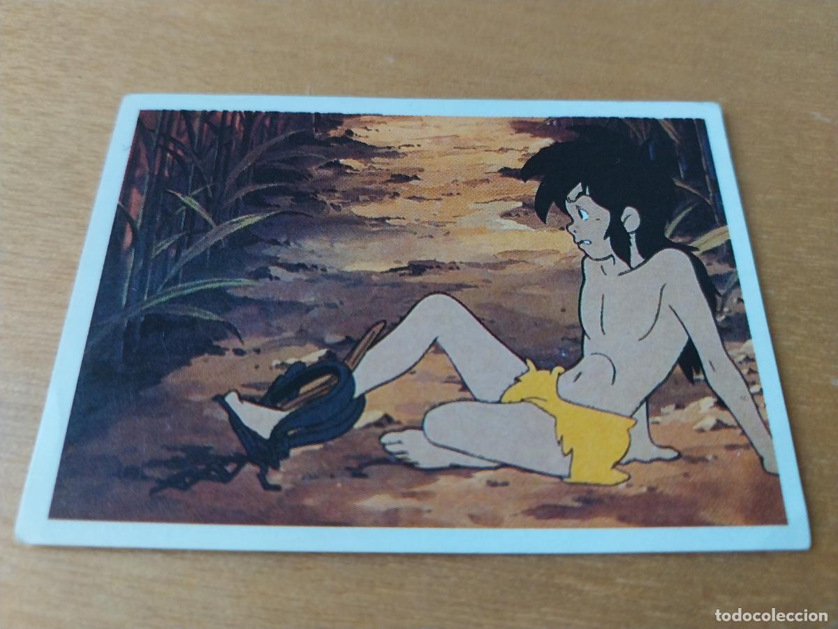 Coleccionismo Cromos antiguos: LIBRO DE LA SELVA ED PACOSA DOS 1990 CROMO 109 * SIN PEGAR NUNCA ORIGINAL