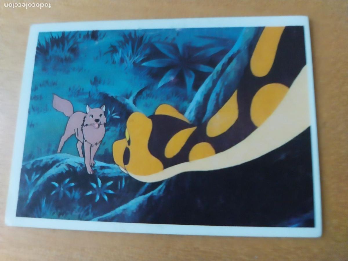 Coleccionismo Cromos antiguos: LIBRO DE LA SELVA ED PACOSA n 1990 CROMO 114 ** SIN PEGAR NUNCA ORIGINAL