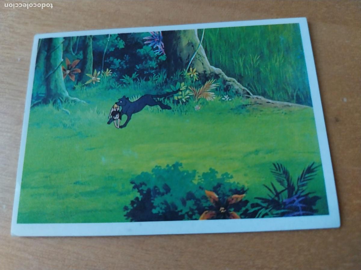 Coleccionismo Cromos antiguos: LIBRO DE LA SELVA ED PACOSA 1990 CROMO 118 * SIN PEGAR NUNCA ORIGINAL