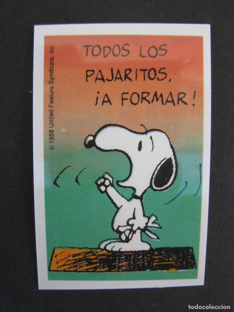 Coleccionismo cromos antiguos: CROMO - SNOOPY - ROSENDO - NUNCA PEGADO. - Foto 1