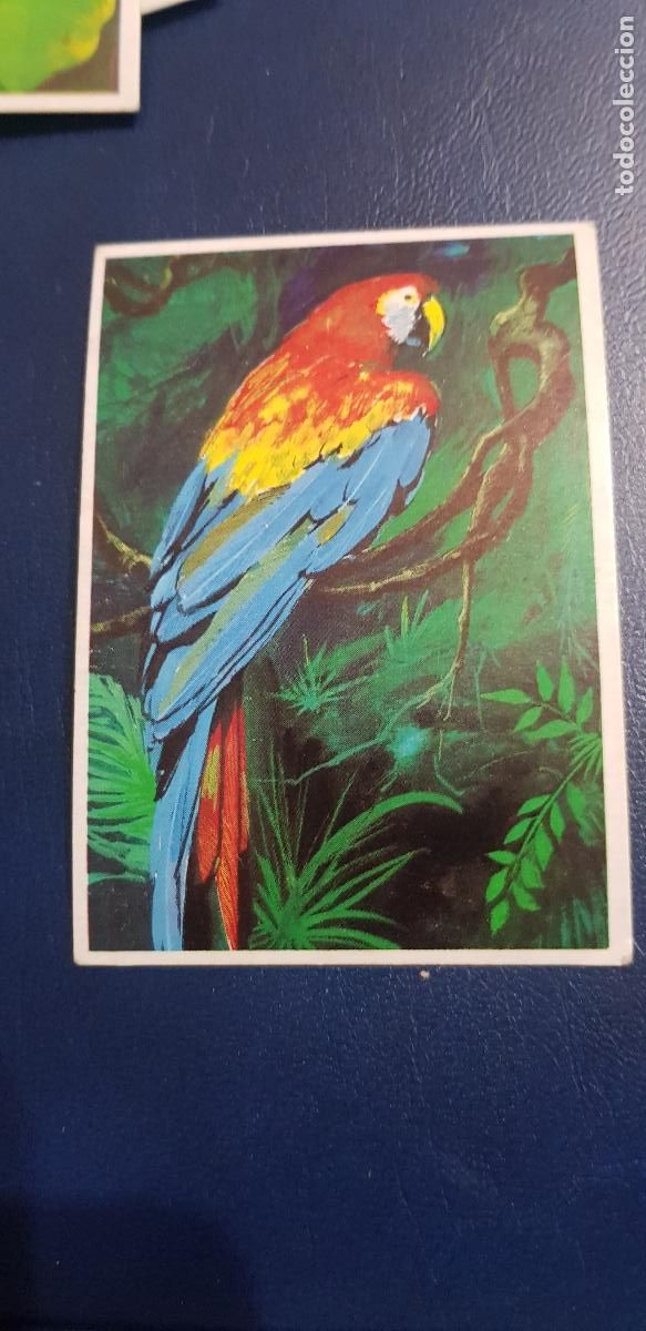 Coleccionismo cromos antiguos: DUNKIN SUPERCROMO -LAS AVES N&ordm;1 - Foto 1
