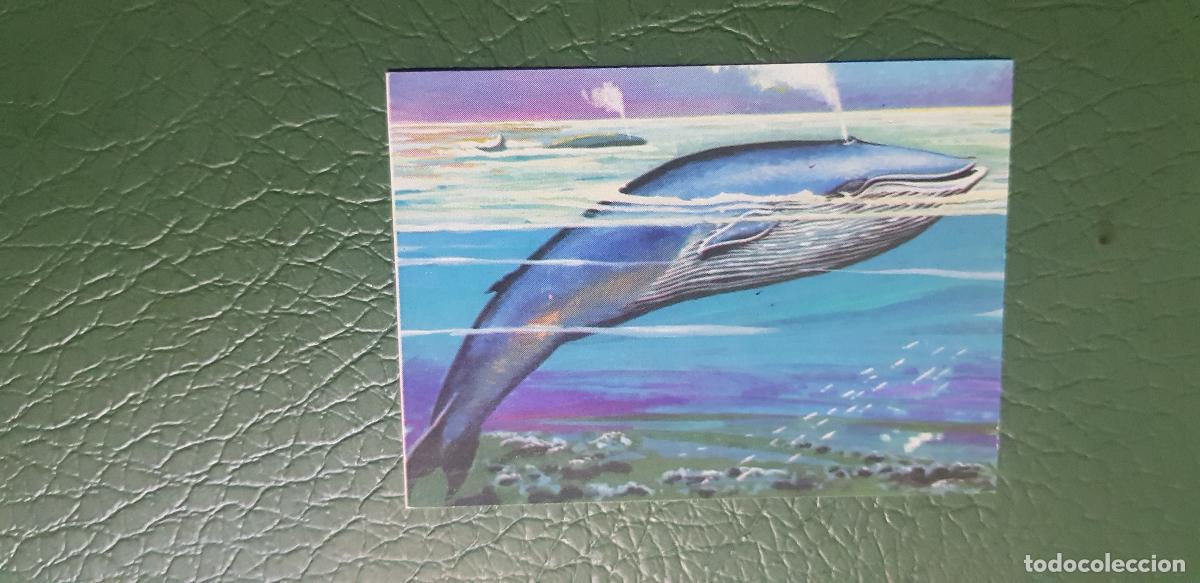 Coleccionismo cromos antiguos: EL LIBRO DE LAS ADIVINANZAS 2 ,NUNCA PEGADO, N&ordm; 246 - Foto 1