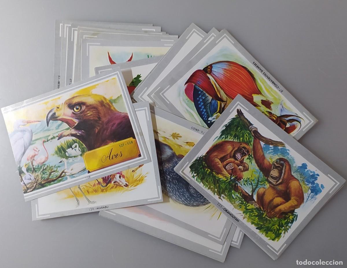 Coleccionismo cromos antiguos: CROMOS VIDA Y COLOR 1 - Foto 1