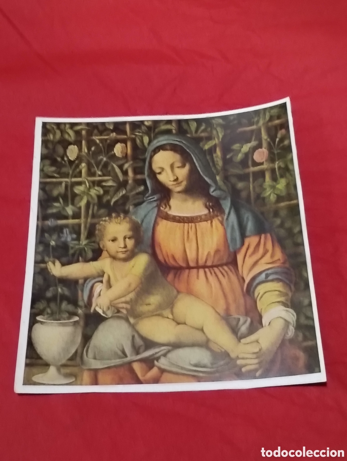 Coleccionismo Cromos antiguos: Cromo Madonna of the Rose 12 x 12 cm