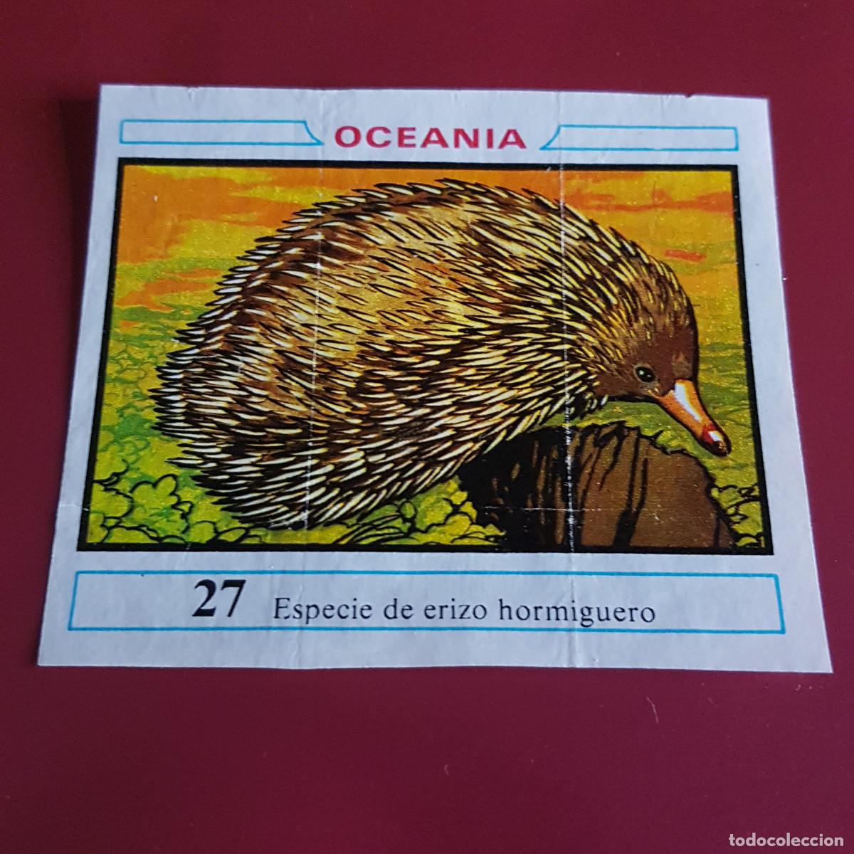 Coleccionismo cromos antiguos: DUNKIN - OCEANIA - UN CROMO - 27 - Foto 1