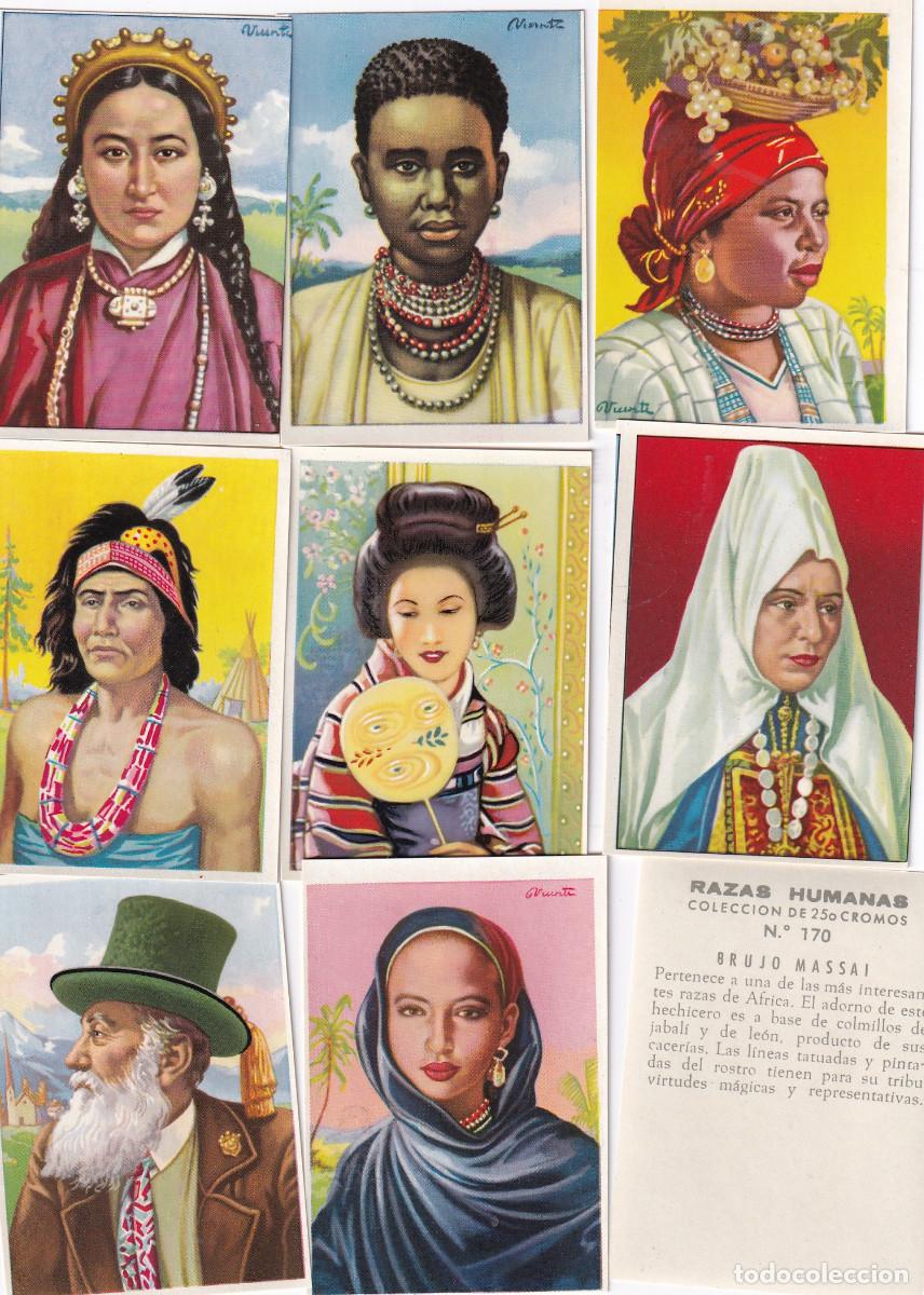 Coleccionismo cromos antiguos: LOTE DE 240 CROMOS DE RAZAS HUMANAS. - Foto 1