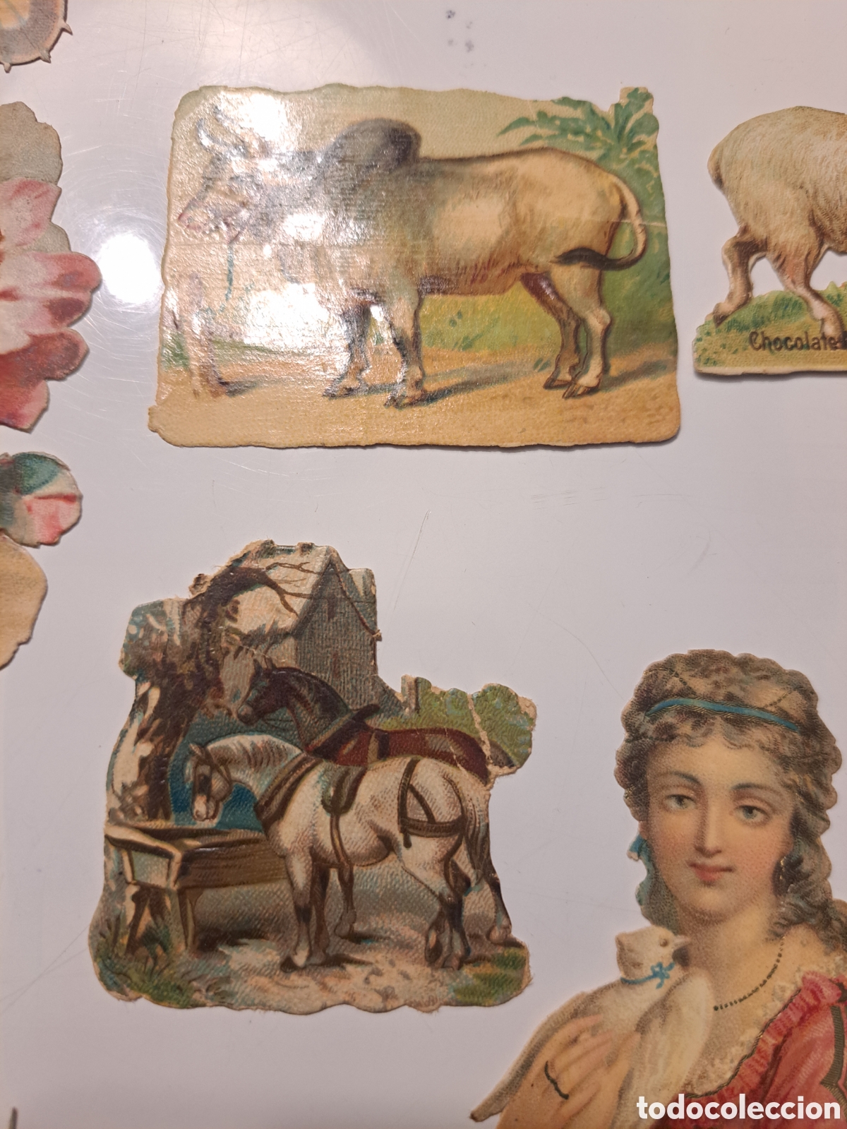 Coleccionismo cromos antiguos: 14 cromos troquelados varios - Foto 10